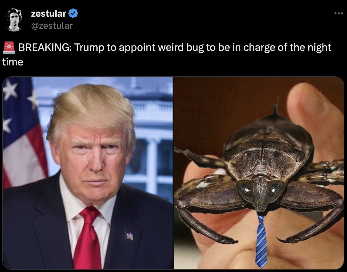 time zestular Breaking Trump to appoint weird bug to be in charge of the night